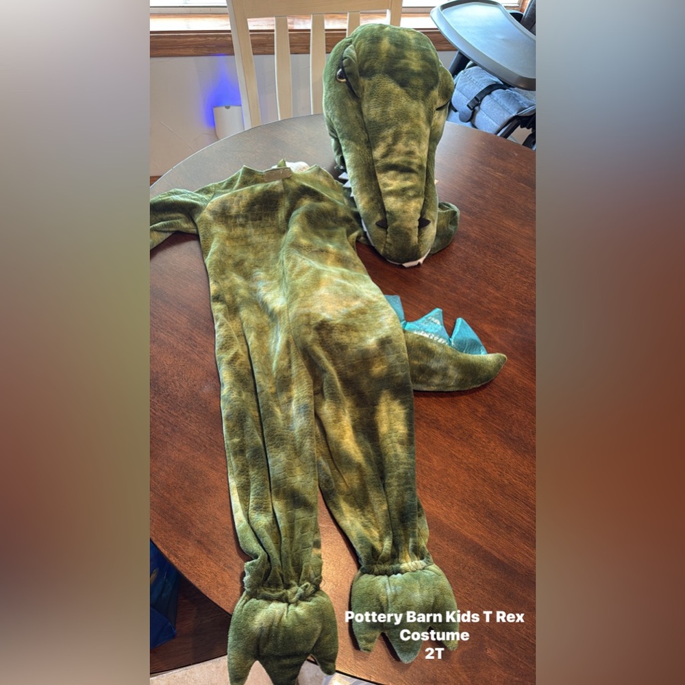 Green Dinosaur Costume Pajamas
